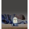 LEXiBOOK, Hedwig, Hedwig Nightlight Alarm Clock, Sounds and Melodies, Backlit LCD Screen, Luminous, Snooze, RL800HP1